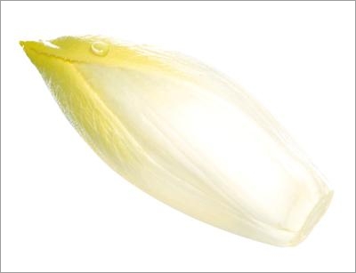 endive seeds