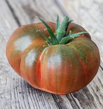 Tomate Noire de Crimée - 2024