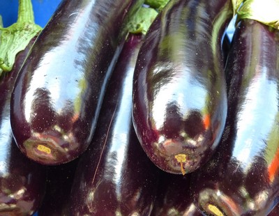 Aubergine Violetta lunga 2