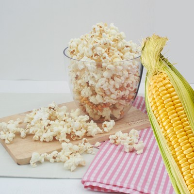 Maïs pop-corn (DL)