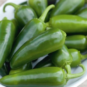 Piment Jalapeño