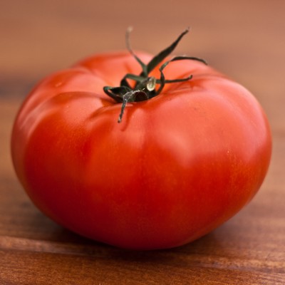 Tomate Ace 55 VF BIO - 2024