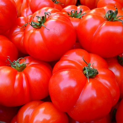 Tomate Marmande