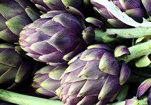 Artichaut Violet de Provence