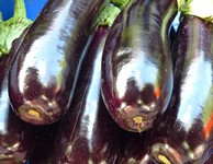 Aubergine Violetta lunga 2