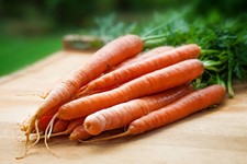 Carotte Nantaise 2 - Daucus carota