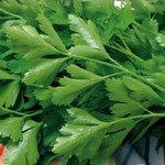 Persil géant d'Italie