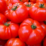 Tomate Marmande